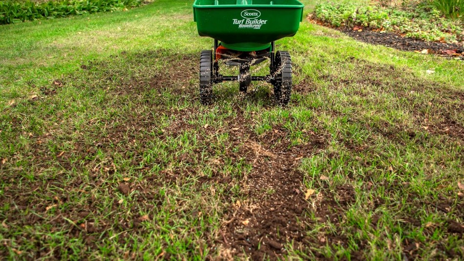 Scott's Turf Builder Quick + Thick Grass Seed Sunny