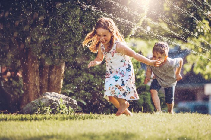 Growing A Healthy Lawn in Ontario