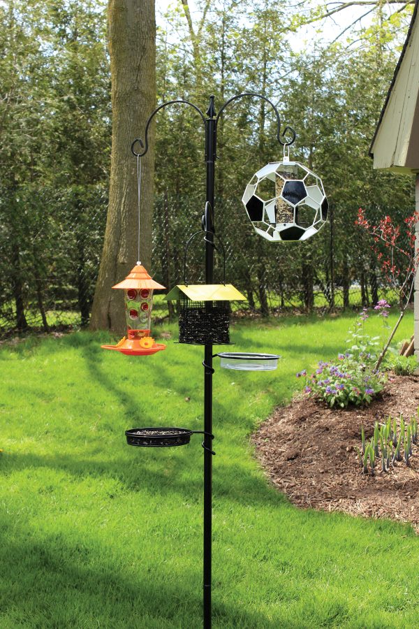 bird feeder oriole