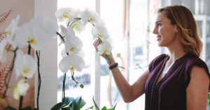 growing orchids near a window