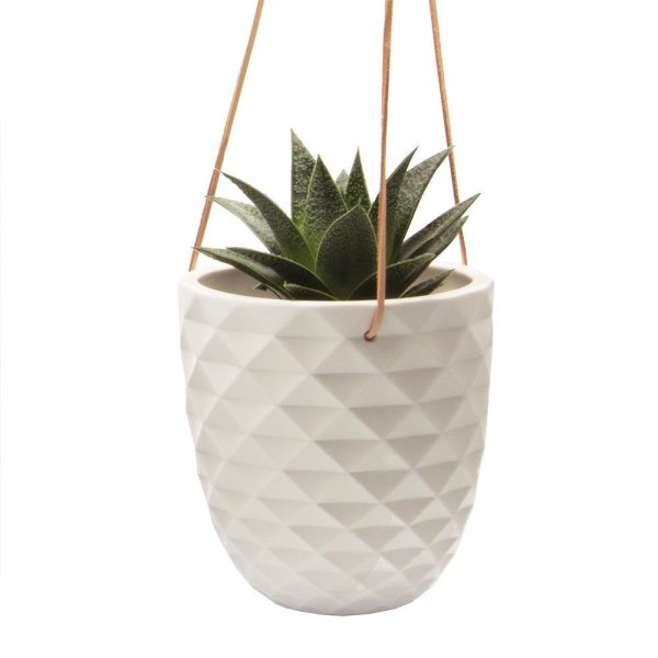 Thimble Hanging Planter