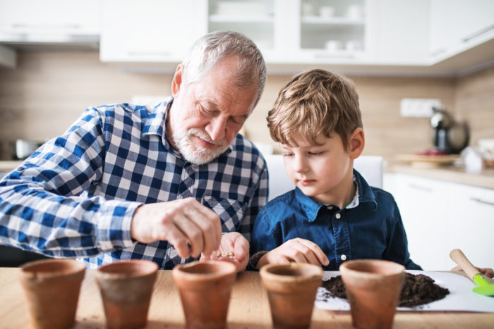 How To Start Seeds At Home