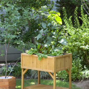 VegTrug Raised Planter