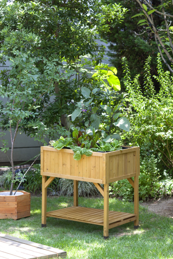 VegTrug Raised Planter