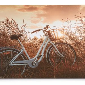 717139 Bicycle Print LED