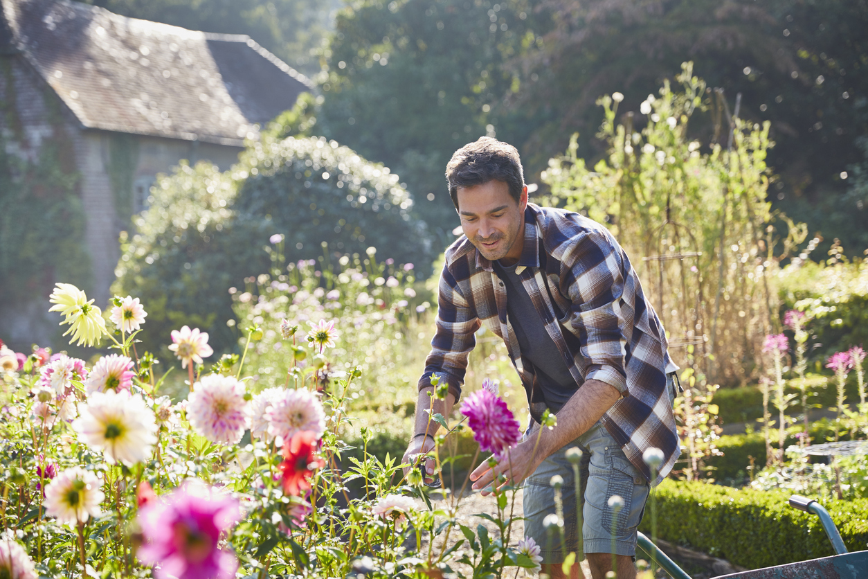 Your Guide to Growing Summer Bulbs