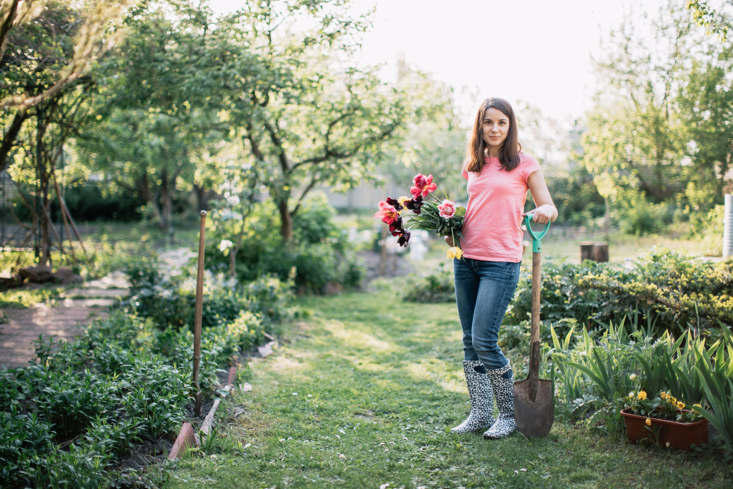 Garden Starters: What to Plant in SPRING for Early Season Colour