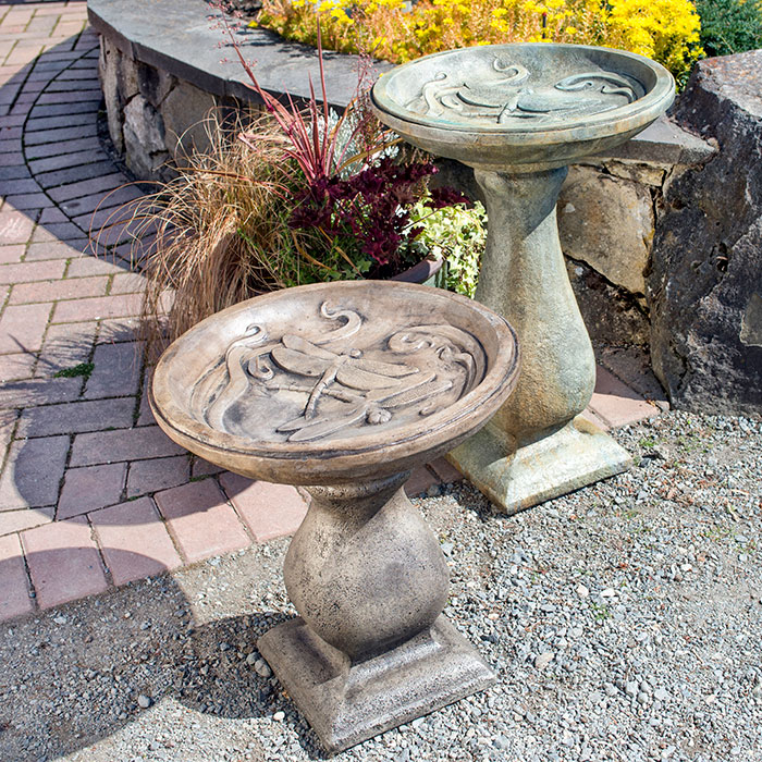 Dragonfly Birdbath