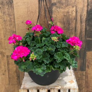 Our Featured Products