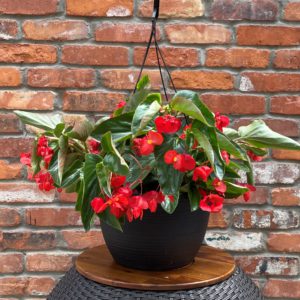 Our Featured Products