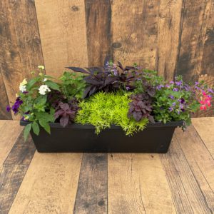 Our Featured Products