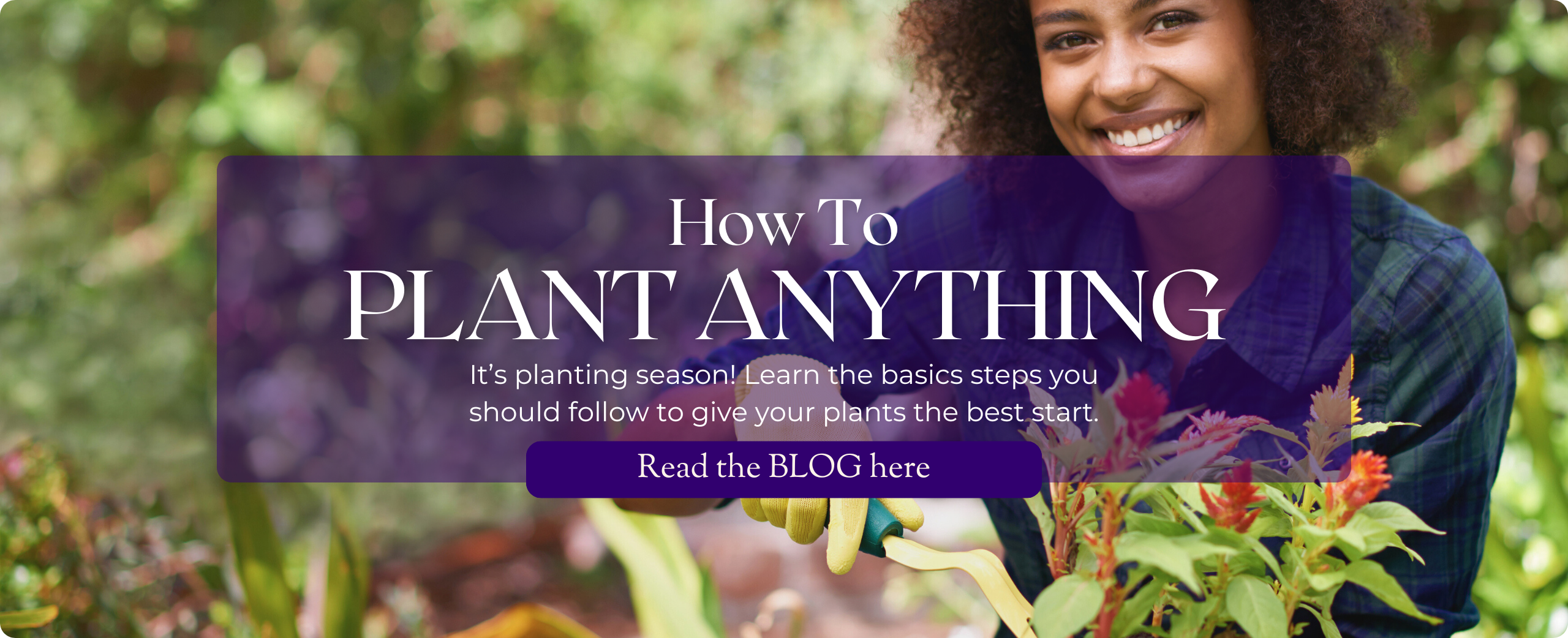 How To Plant Anything