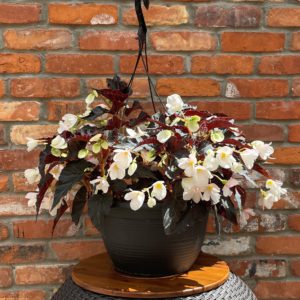Our Featured Products