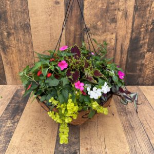 16" Premium Hanging Wire Baskets - Growers Choice - Shade Mix