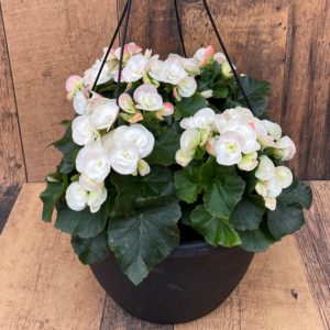Our Featured Products