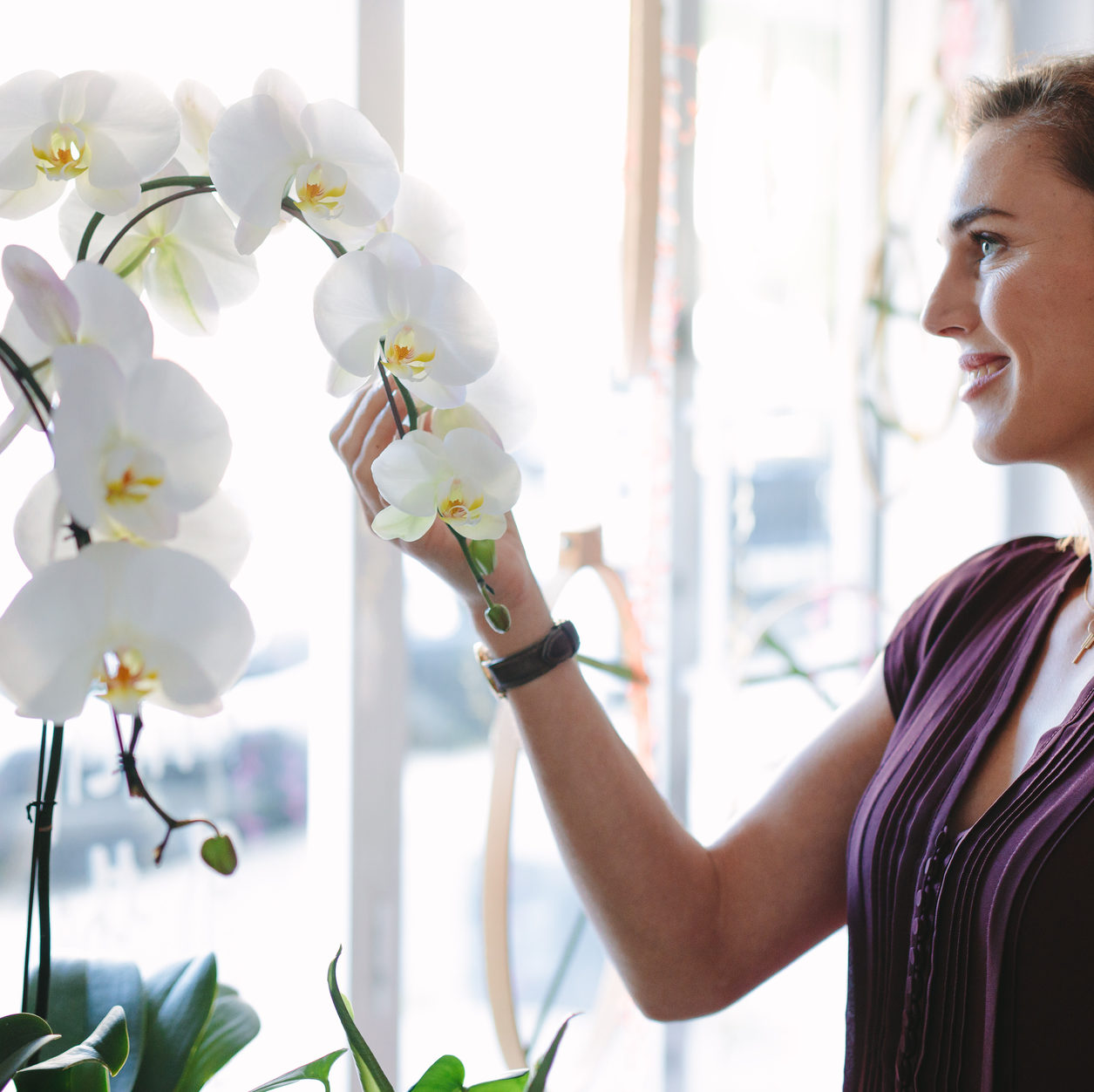 growing orchids near a window