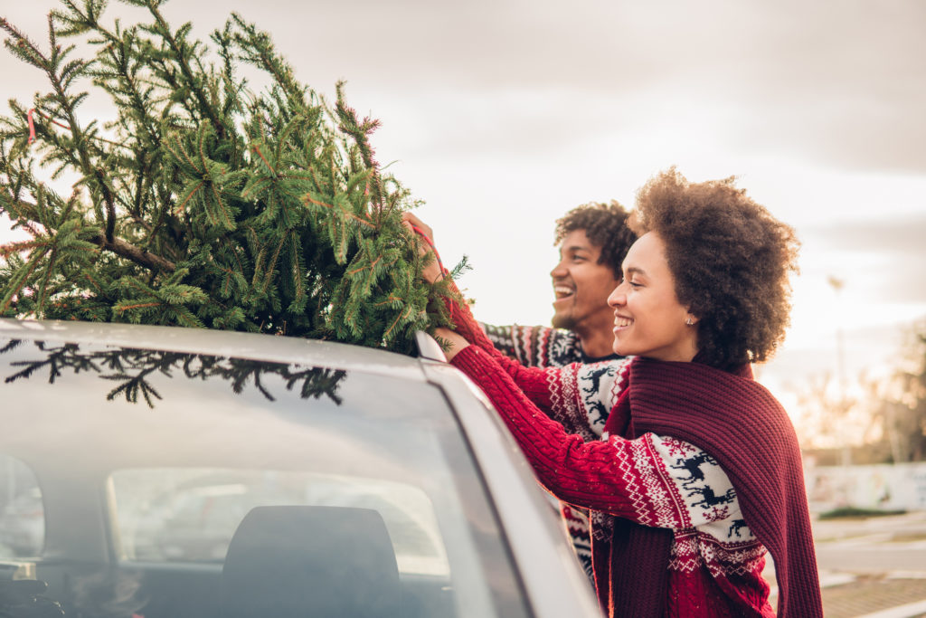 Choosing a family Christmas Tree