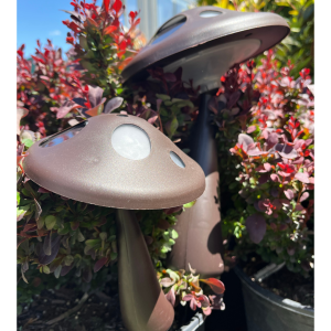 Solar Mushroom Stake Light - 2 Pack