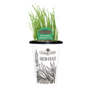 Herbs Chives Garlic