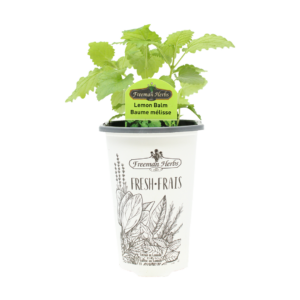 Herbs-Lemon-Balm