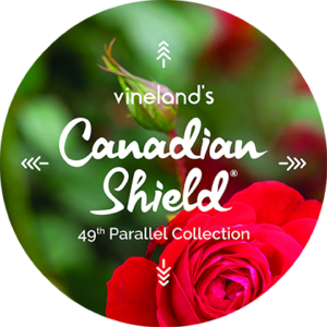 Our Featured Products