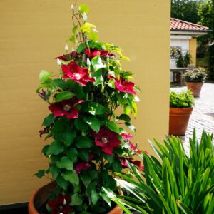 Our Featured Products