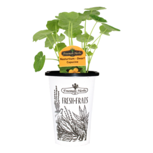 Herbs-Nastuartium