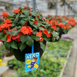 Our Featured Products