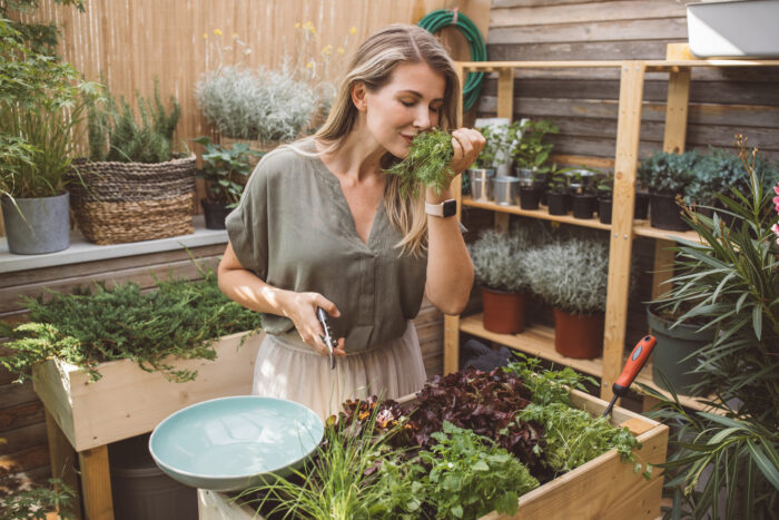 The Essential HERBS for Every Garden