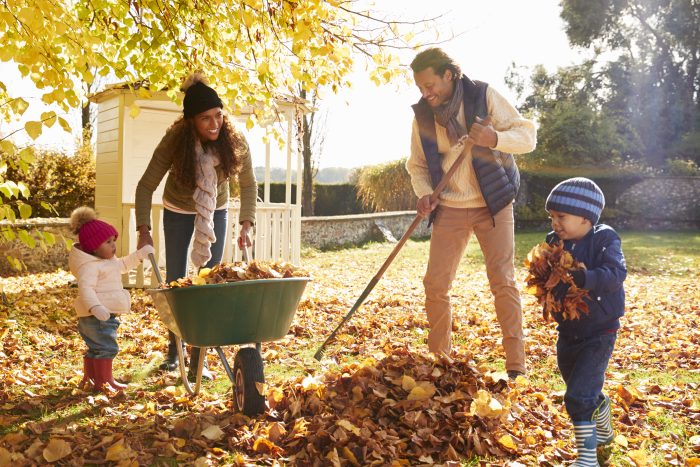 Your Fall Gardening Task List