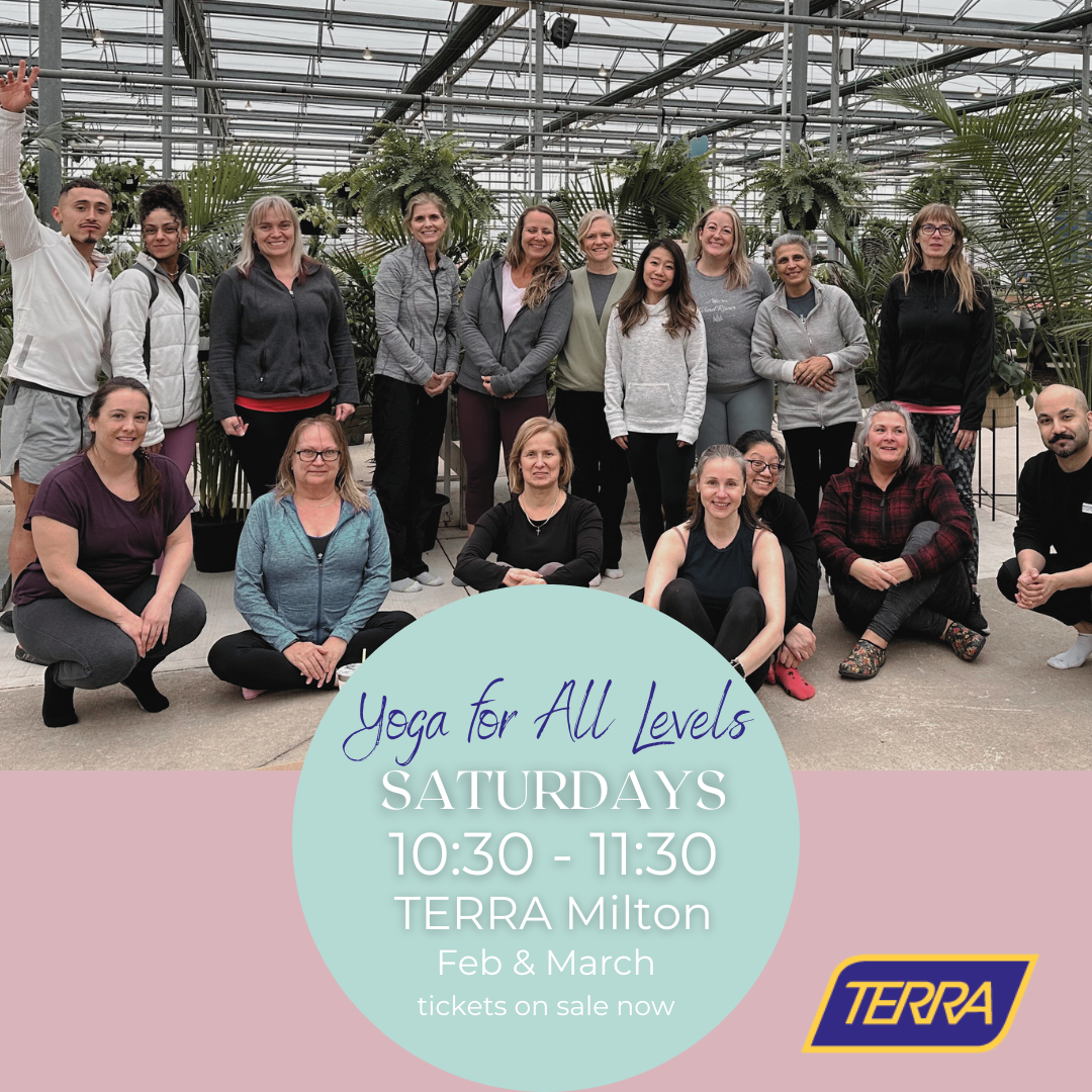 Yoga for All Levels with Emi - Saturdays 10:30-11:30