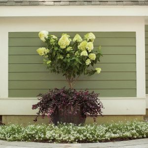 Our Featured Products