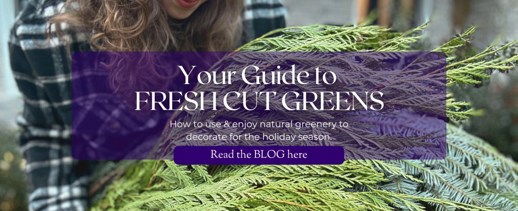 A woman holds an armload of cut evergreen boughs. Text: Your Guide to FRESH CUT GREENS. How to use & enjoy natural greenery to decorate for the holidays. Read the BLOG here.