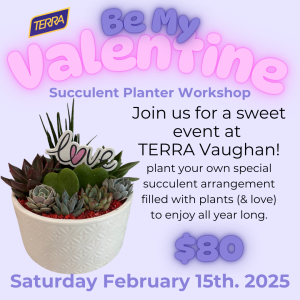 Be My Valentine @ TERRA Vaughan