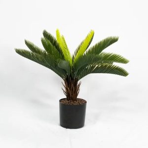 Cycas Palm Plant - Small (Artificial)