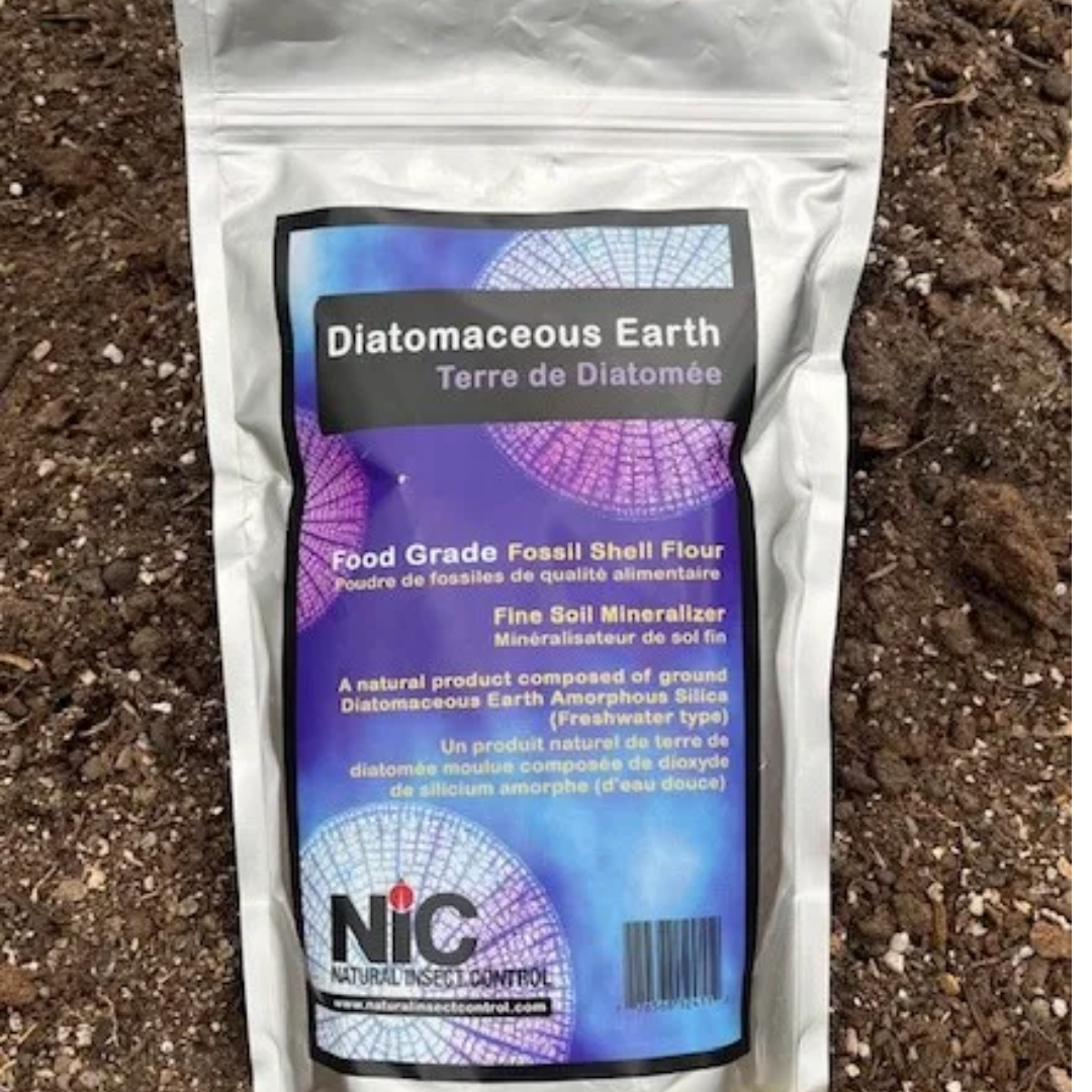 Diatomaceous Earth - Food Grade - 500G