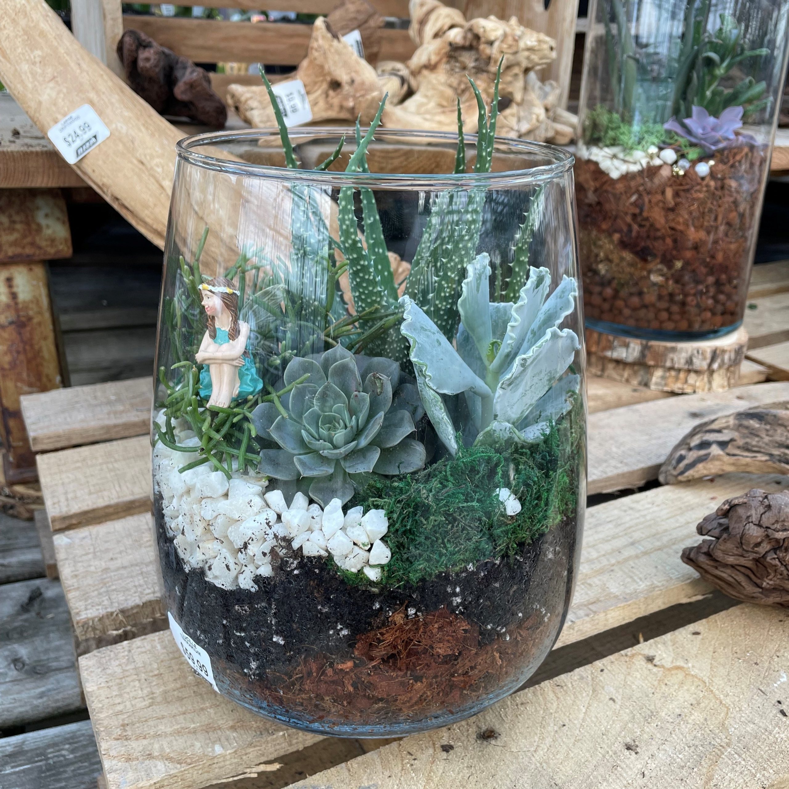 Succulent Fae Garden Terrarium