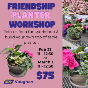 Friendship Planter Workshop - March 1
