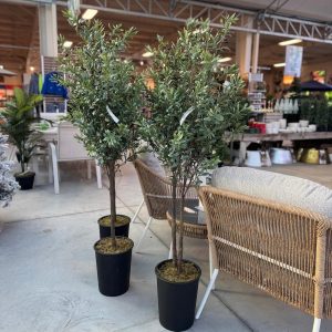 Olive Tree - Available in Four Styles (Artificial)