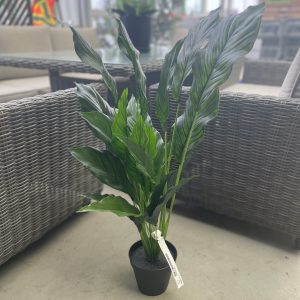 Spathiphyllum Plant (Artificial)