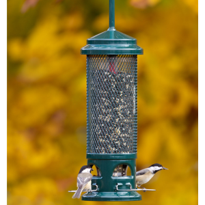 Squirrel Buster® Legacy