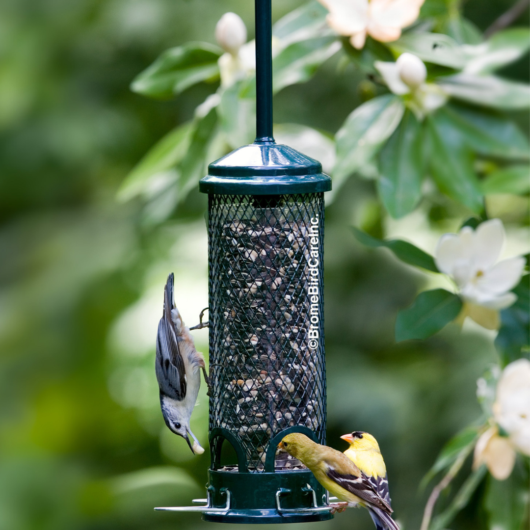 Squirrel Buster® Mini