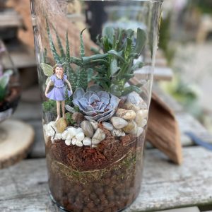 Succulent Fairy Haven Terrarium