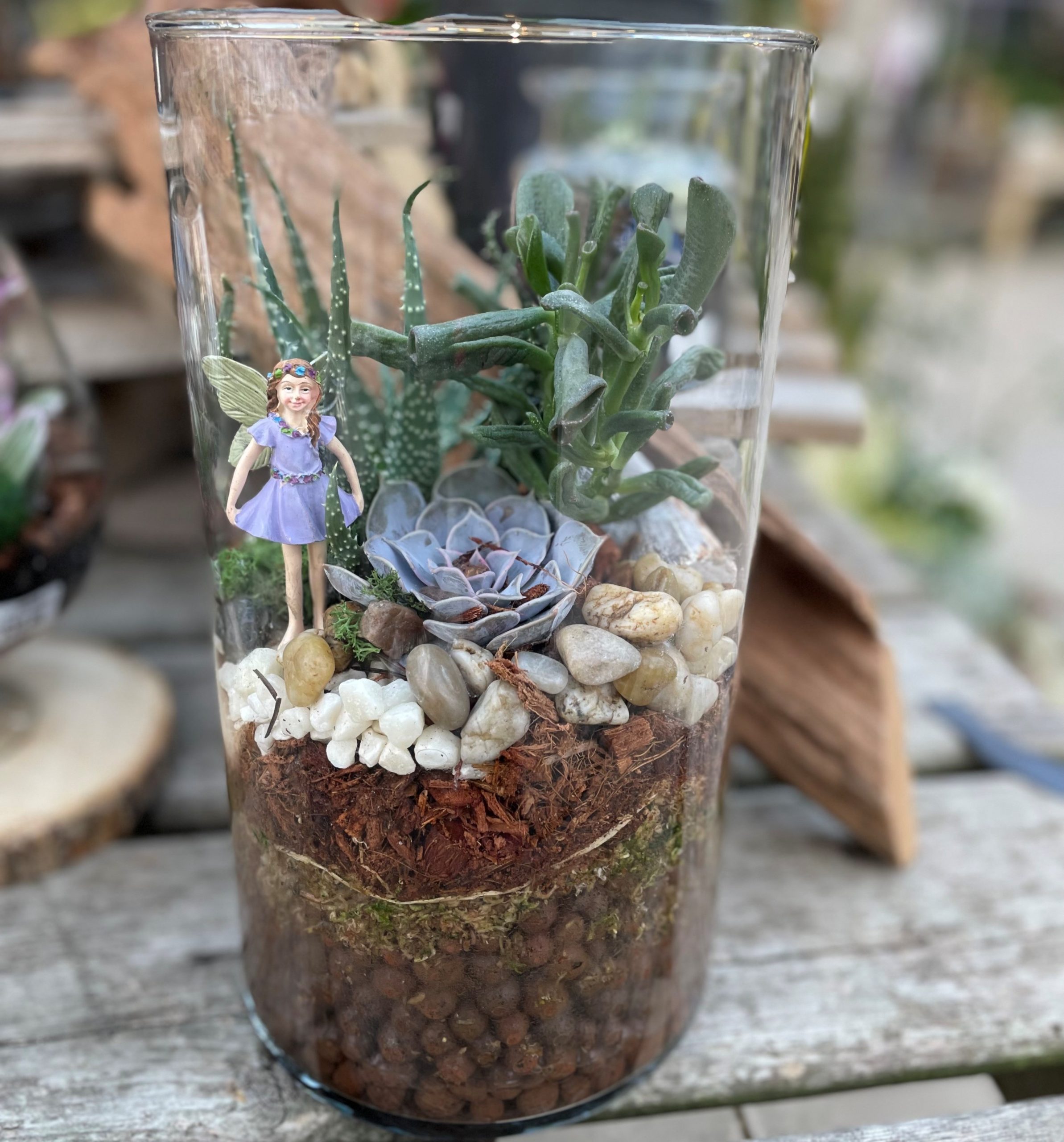 Succulent Fairy Haven Terrarium