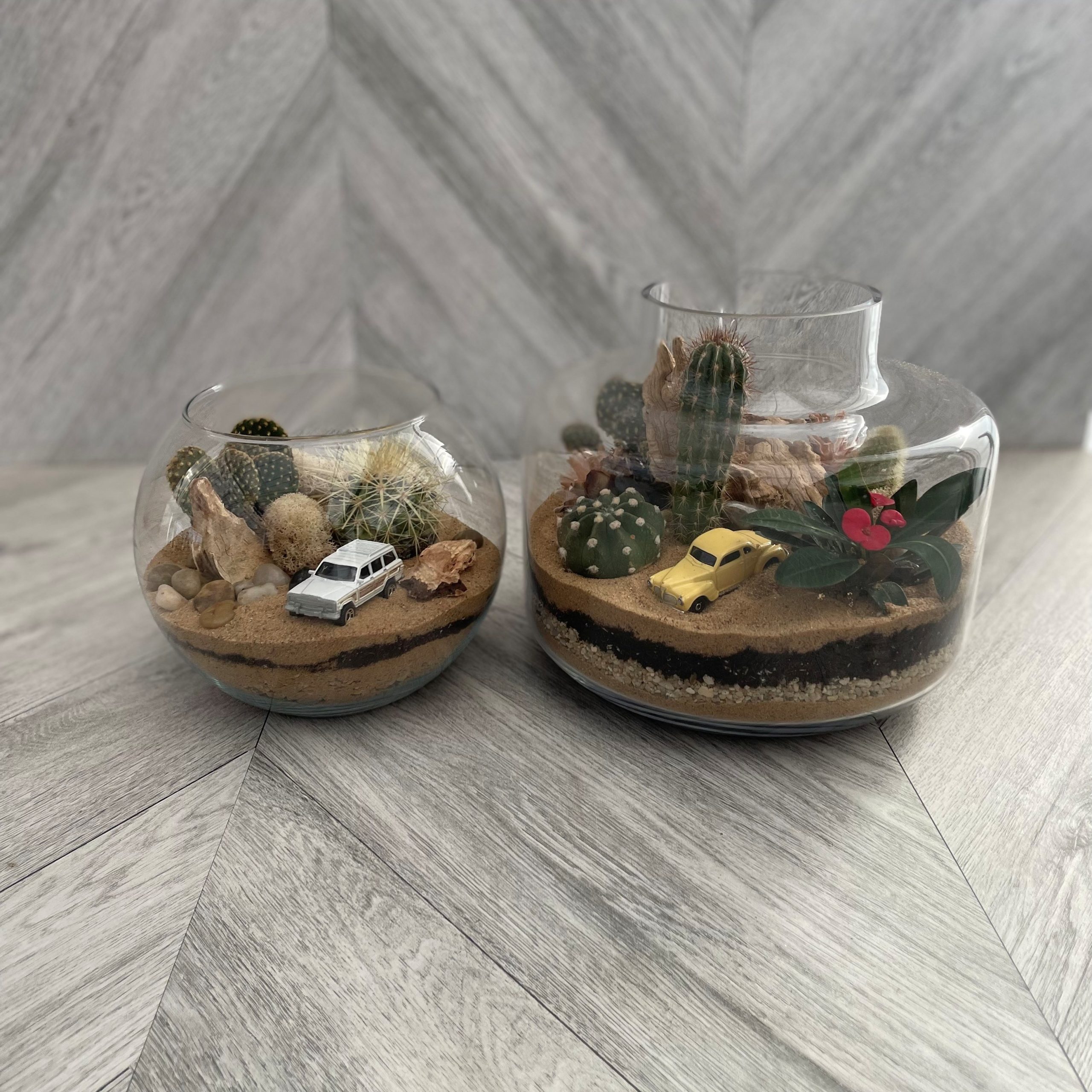 Desert Drive Terrarium