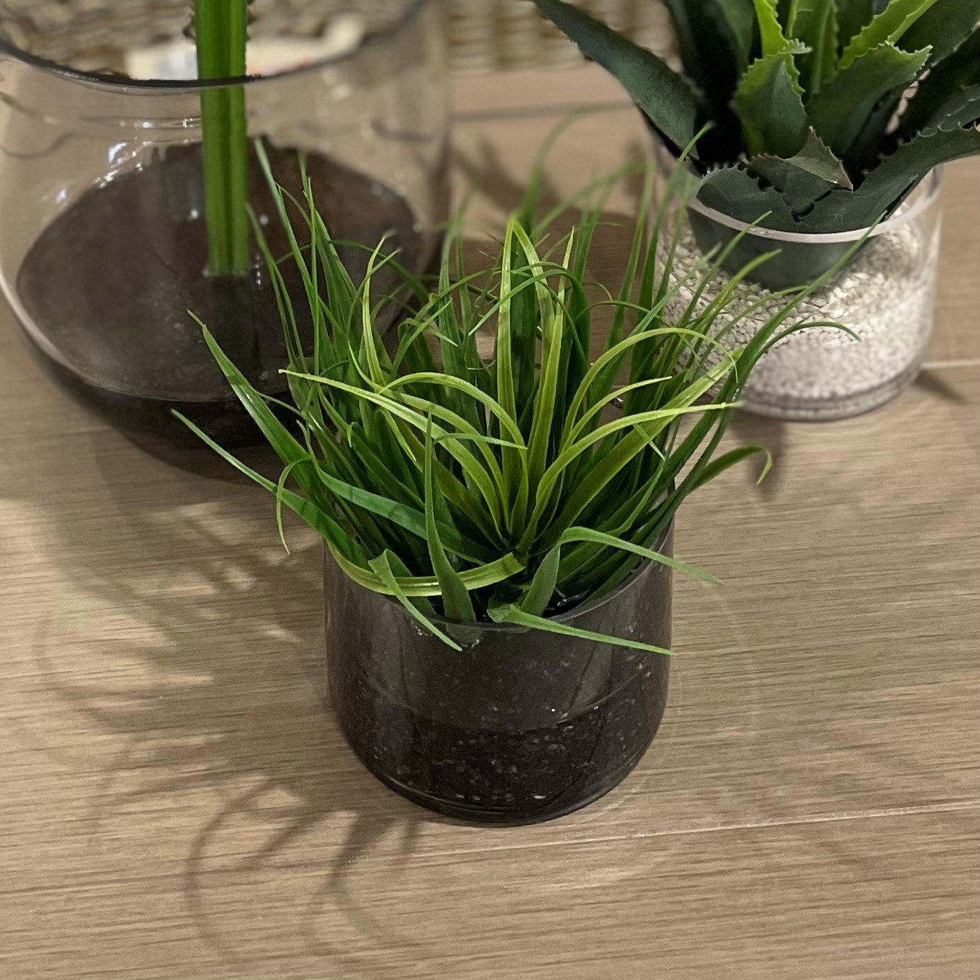 Tillandsia Grass Water Illusion (Artificial)