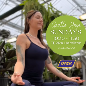 Gentle Yoga with Rianna in Hamilton - Sundays 10:30 -11:30a.m.