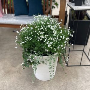 Mixed Planter (Artificial) - White Flowers