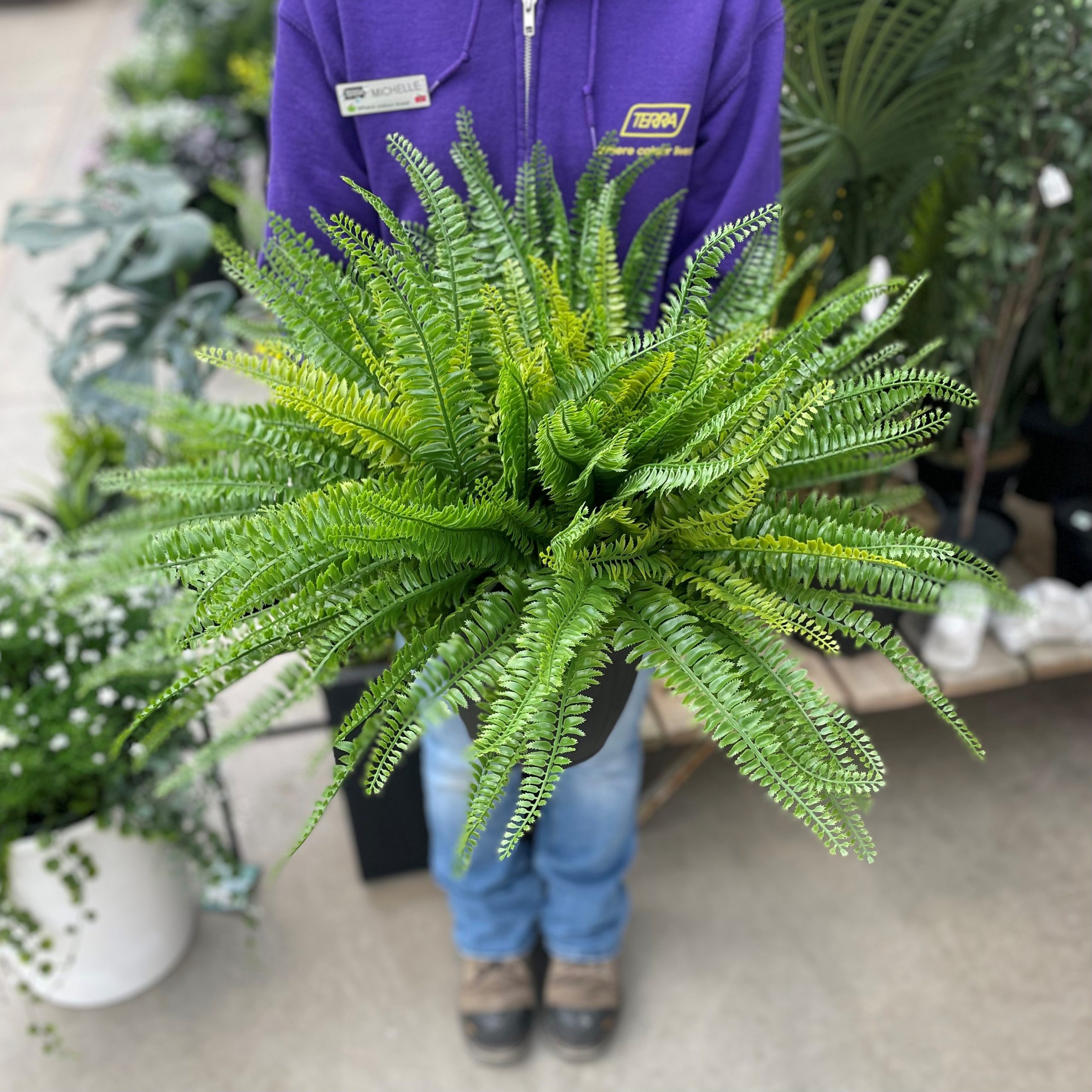 Fern Planted (Artificial)