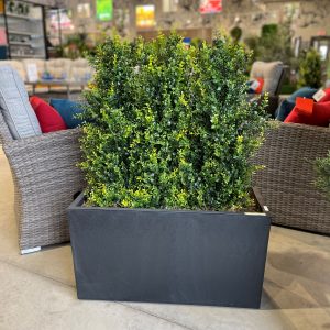 Boxwood Tree Planter (Artificial)